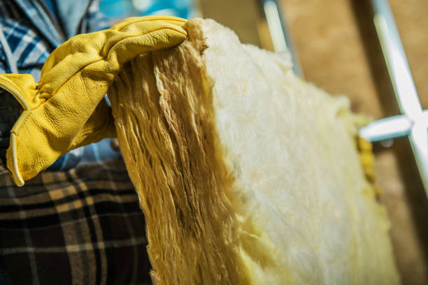 Best Types of Insulation in South Paris, ME